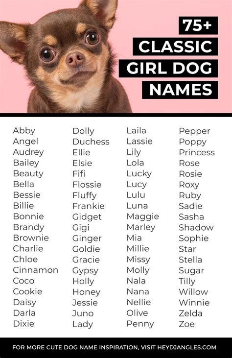 unique strong female dog names|badass names for female dogs.